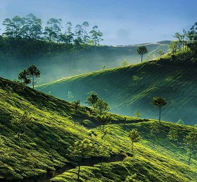 3 Nights 4 Days Wayanad Holiday Package